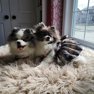 Fundraising Page: Katia Castro